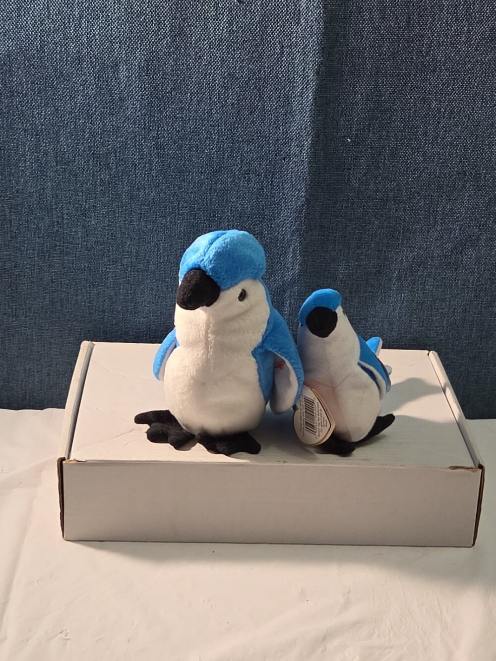 Ty Beanie Baby Rocket the Blue Jay Set Standard & Teenie Beanie 1998 NWT Bird - Picture 3 of 16